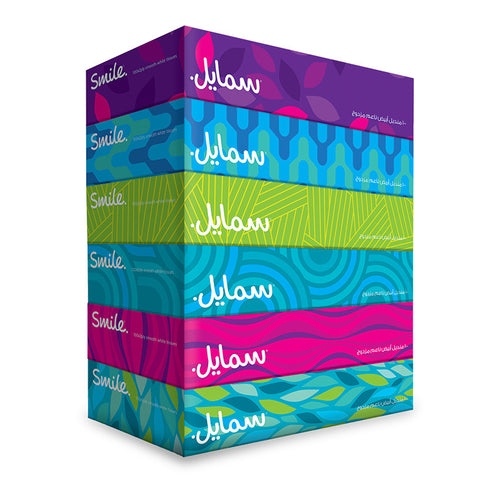 Smile Facial Tissues, 100 Sheets x 2Ply, Pack of 6